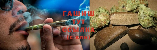 прущие грибы Алзамай