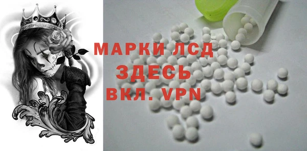 прущие грибы Алзамай
