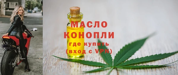 СК Алексин