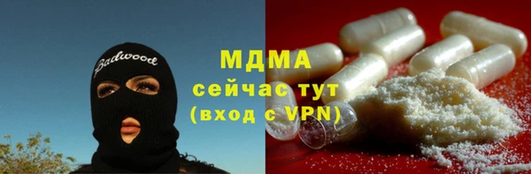 СК Алексин