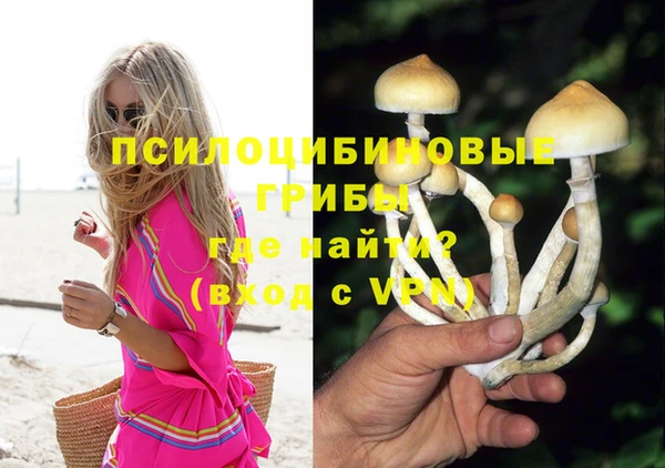прущие грибы Алзамай