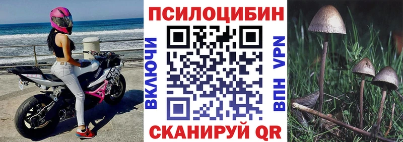 Галлюциногенные грибы мицелий Сураж