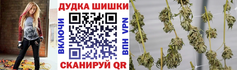 omg вход  Сураж  Бошки марихуана семена 